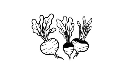 Fototapeta premium Minimalist Cartoon Black Line Root Vegetables Vector Illustration