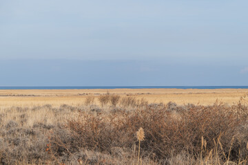 The vast coastal landscape of Lake Issyk-Kul. The serene beauty of nature in a peaceful ecosystem.