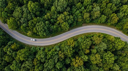 An aerial view of a winding road cutting through a dense forest with a car driving on it