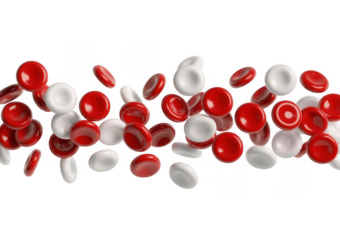 Red and white cells floating 3D medical healthcare isolated on a transparent background