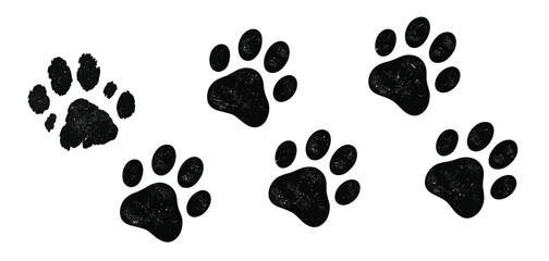 Dog paw print, cat foot grunge icon, animal sketch path, including bear, panda, and tiger foot tracks, black silhouettes isolated on white background, cartoon vector illustration for wildlife, pets © Vector Gallery