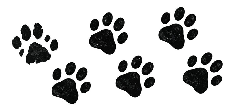 Dog paw print, cat foot grunge icon, animal sketch path, including bear, panda, and tiger foot tracks, black silhouettes isolated on white background, cartoon vector illustration for wildlife, pets