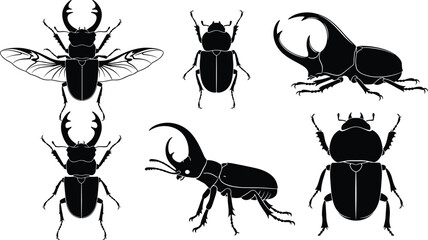 Beetle insect silhouette collection showing stag and rhinoceros beetles, detailed vector illustration set isolated on white background © Hello World