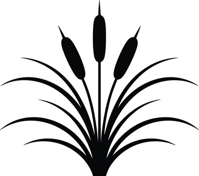 Elegant cattail silhouette vector illustration of marsh plant reeds with detailed grassy leaves in minimalist style for nature conservation environmental awareness graphic design projects and educatio