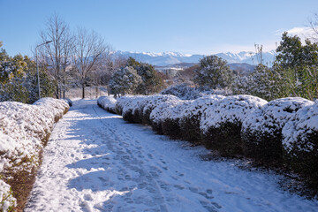 The Natural Ornithological Park in the Imereti Lowland after snowfall. Sirius. Russia