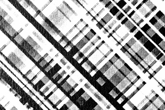 Macro of printed diagonal grid of black rectangles on transparent PNG, forming abstract city blocks or plaid pattern in bold monochrome. - Powered by Adobe