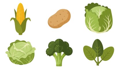 Fresh vegetables assortment corn potato cabbage broccoli and spinach