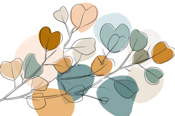 Eucalyptus leaves botanical illustration