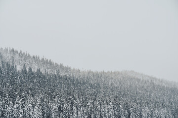Oksbakklia Hill, part of the Toten&aring;sen Hills, Norway, January 2026.
