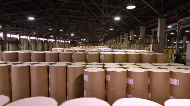 Warehouse of rolls of paper and cardboard. Paper industry