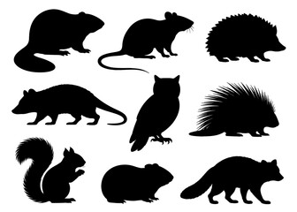 Small wild animal silhouettes collection with different species and poses. Black figures showing forest rodents and nocturnal animals