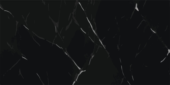 Sharp white veins on a solid black marble slab for dramatic high-contrast stone backgrounds