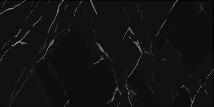 Rich black marble texture with diverse vein patterns for high-resolution floor and countertop design