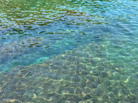 Adriatic sea transparent water with algae.