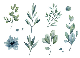 Watercolor botanical illustration set isolated on background with green branches, eucalyptus and watercolor splashes for invitations, branding, stationery, cards and packaging