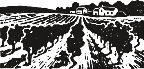 Fototapeta premium vineyard landscape with rows of grapevines and farmhouse in black and white woodcut
