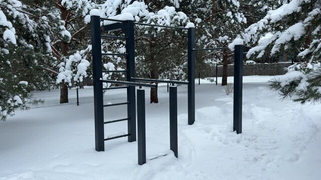 Winter Landscape with Outdoor Pull Up Bars in Snow