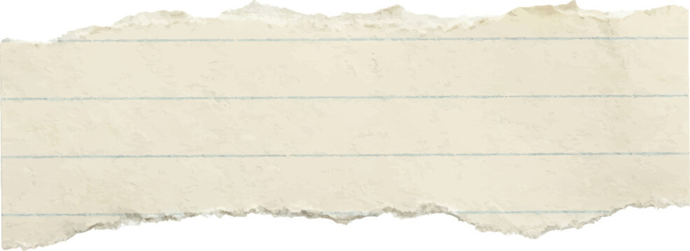 Torn paper strip with horizontal lines on white background ripped edge detail blank space for design