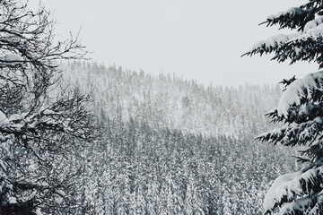 Oksbakklia Hill, part of the Toten&aring;sen Hills, Norway, January 2026.