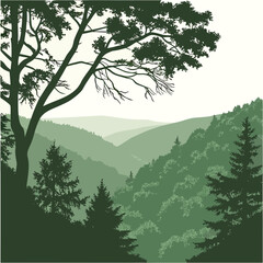 Green forest valley with trees and hills