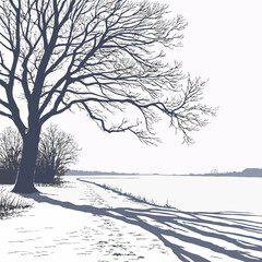 Obraz premium Snow covered plain with bare tree and long soft shadows