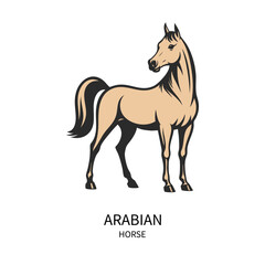 Obraz premium Vector illustration of an arabian horse in standing pose on white background