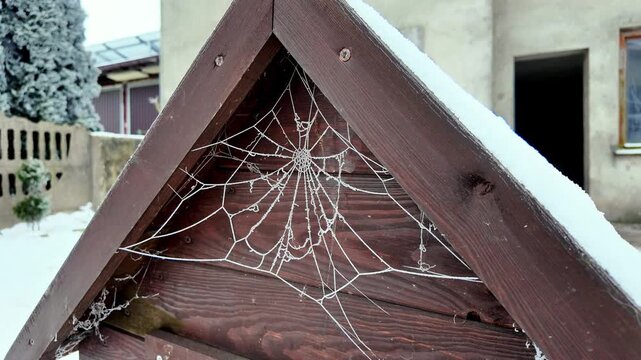 Frozen spider web covered in frost inside a wooden roof structure against a snowy winter garden and house background.