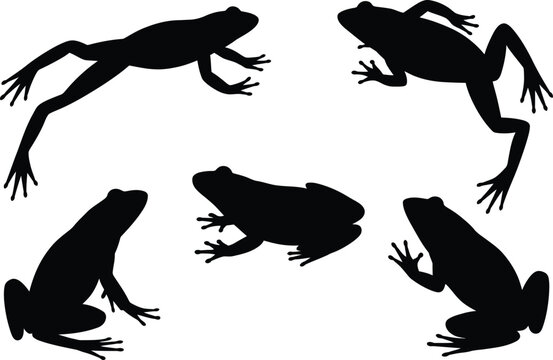 Five frog silhouettes in various poses on white background