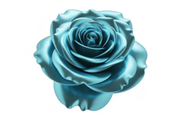 Teal blue rose flower isolated on a transparent background