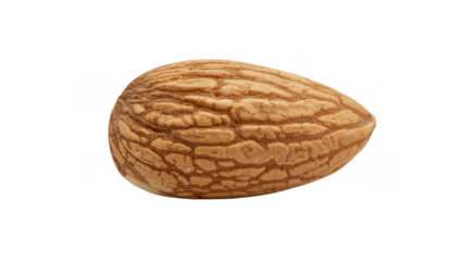 Walnut shell brown texture food isolated on a transparent background