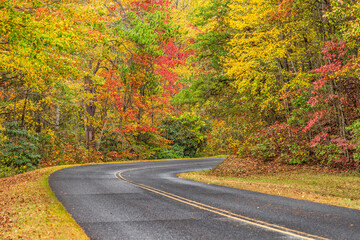 Fall foliage on a curvy road in the Smoky Mountains