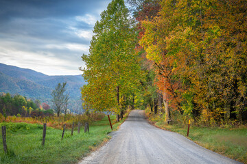 Beautiful roadway in Cades Cove Smoky Mountains Tennessee