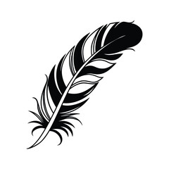 Obraz premium Single graceful feather Vector