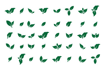 set of Leaf Icon Vector, green and black leaf icon, Leaves icon set.