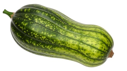 Ridge Gourd Top View Full Length Transparency Background