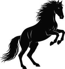 Black horse silhouette rearing isolated on transparent background © MissSonia