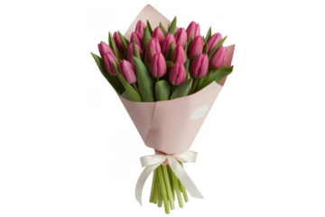 Bouquet of pink tulips wrapped in pink paper white ribbon isolated on a transparent background