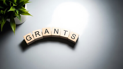 Grants concept with wooden blocks and green plant on gray surface