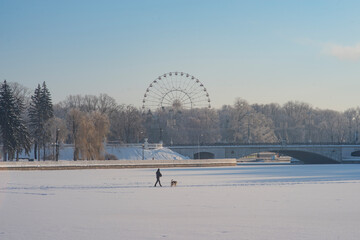 A frosty morning in a snow-covered city park. Winter Minsk