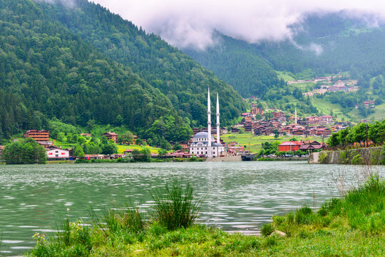 A foggy day in Uzungol - Caykara, Trabzon - Turkey (T&uuml;rkiye)