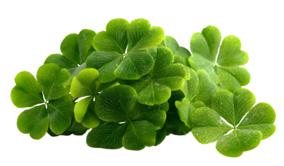 a cluster of green leaves with white spots on a black background