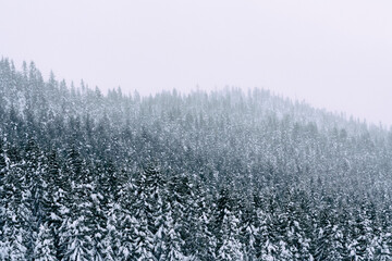 Oksbakklia Hill, part of the Toten&aring;sen Hills, Norway, January 2026.