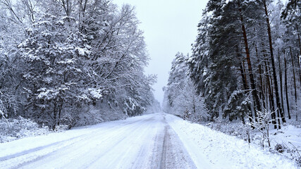 Obraz premium winter forest road. A snow-covered road stretches through a tranquil winter landscape, framed by trees. Snow-covered road, cold season, beauty of nature in winter. snowfall, trees covered with snow