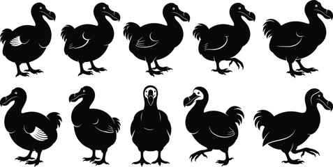 Dodo bird silhouette vector set, black extinct animal illustrations, unique poses, white markings, prehistoric flightless bird graphics, educational wildlife design © MdHarunur