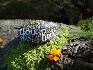 You rock kindness rock on mossy rock with fungus