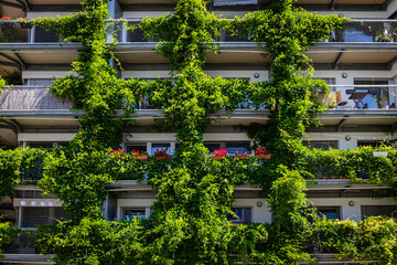 Green Plants Cover Apartment Building Exterior in Urban Setting During Bright Daylight Hours