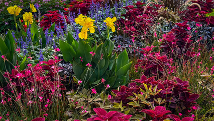 Vibrant garden blooms with yellow irises and colorful foliage during a sunny afternoon in late spring