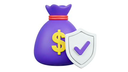 Money Bag with Shield and Checkmark Icon