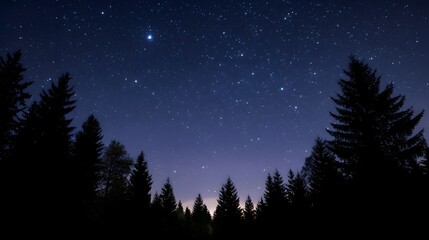 Fototapeta premium A serene deep blue night sky densely populated with twinkling stars rises above the dark silhouettes of a pine forest creating a peaceful and magical