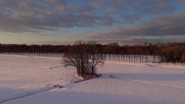 Orbiting Drone Flight Above Snowy Treetops